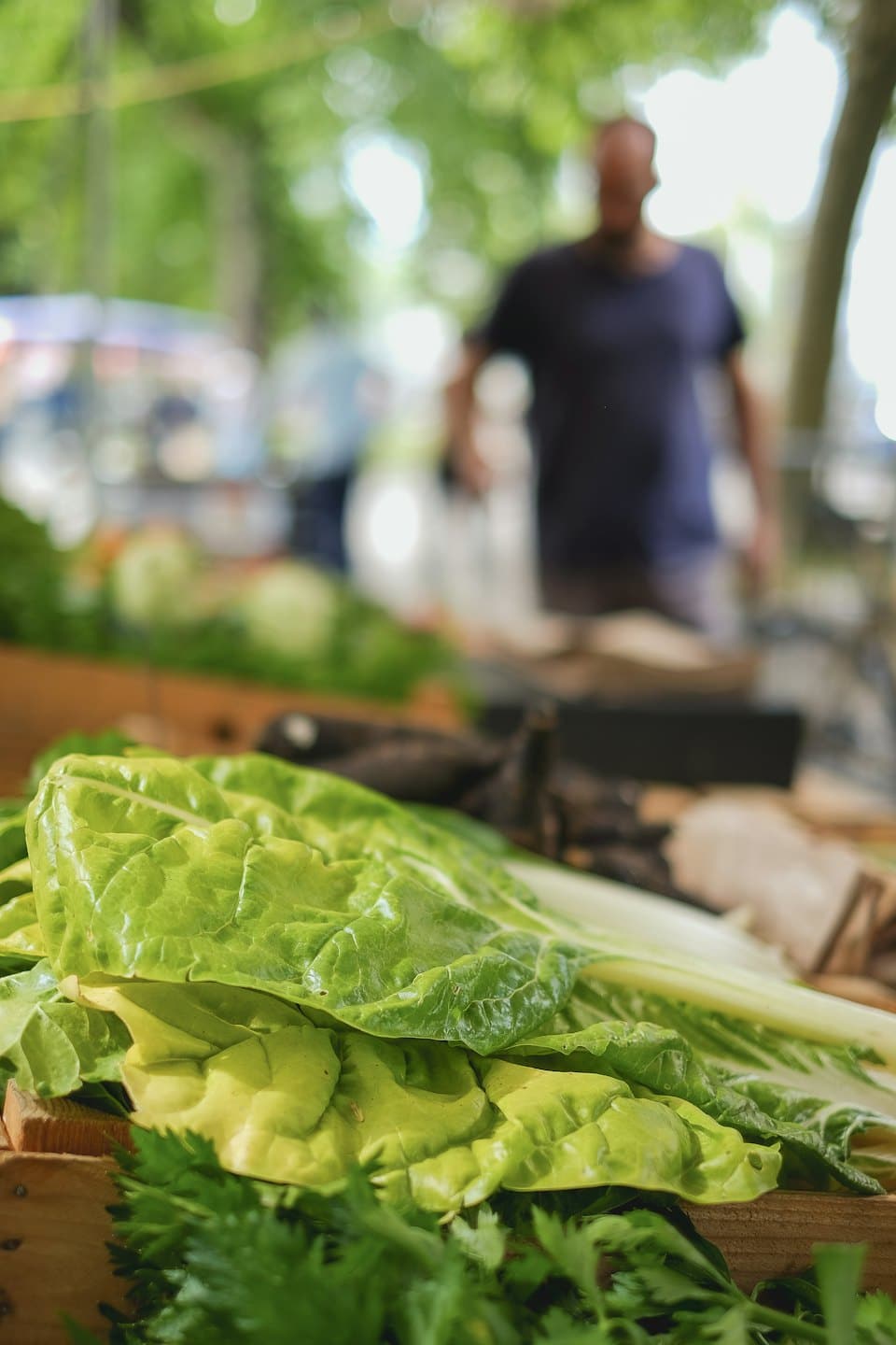 Fresh green chard and parsley in a wooden crate at market.